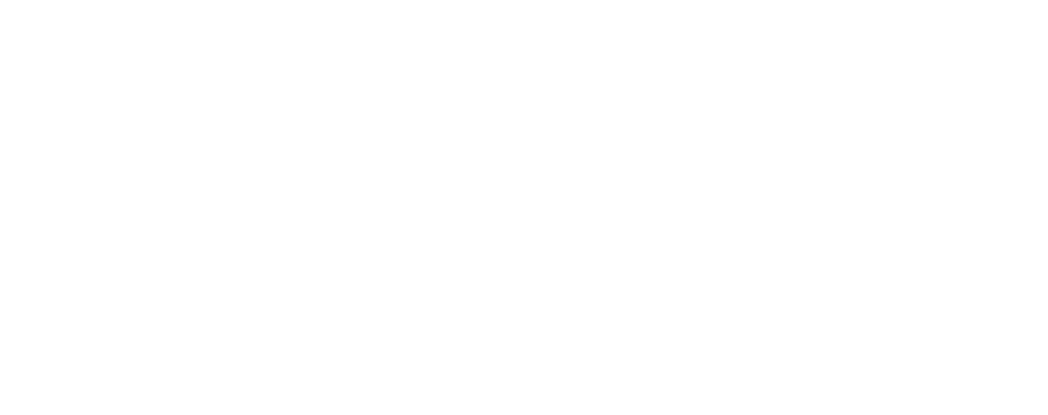 Japanese 
challenge to Martin and Gibson Lineup from the 1960s to the 1970s